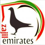 الصورة الرمزية علي الزعابي