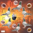 استغفر الله عدد اوراق الشجر
اسغفر الله عدد قطرات المطر
استغفر الله عدد كل ماسبح وكبر