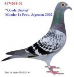 الصورة الرمزية نوري عزيز