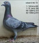 الصورة الرمزية بوخليفه