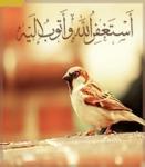 الصورة الرمزية سالم العتيبي