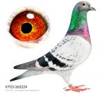 الصورة الرمزية محمد الفزير