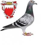 الصورة الرمزية عبدالله النيباري